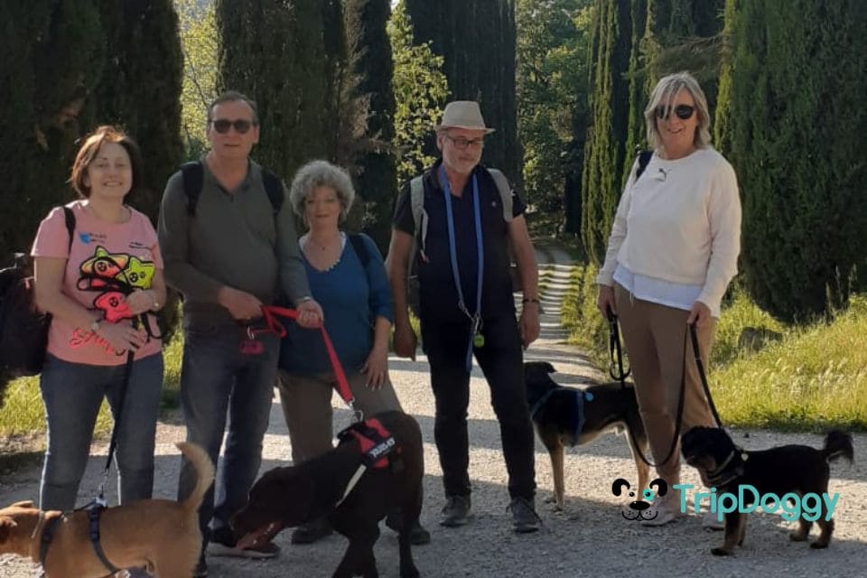 Doggy Tour Orvieto & Bolsena - Weekend a Orvieto con il cane